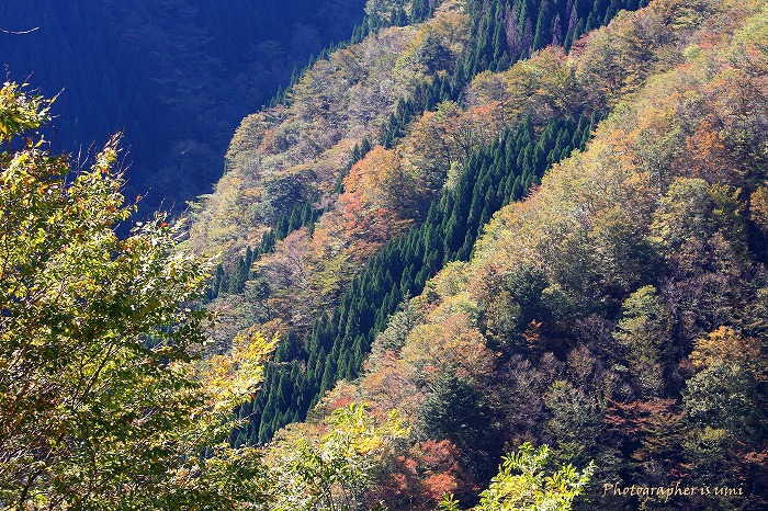 e0083238_2024583.jpg