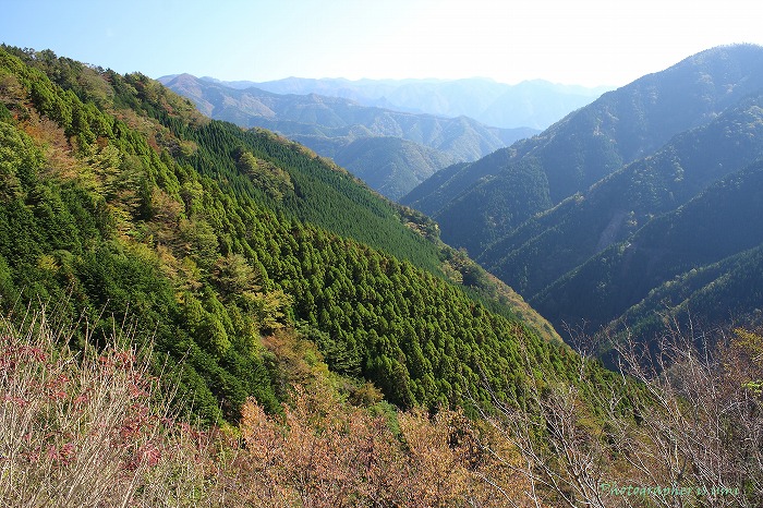 e0083238_20251041.jpg
