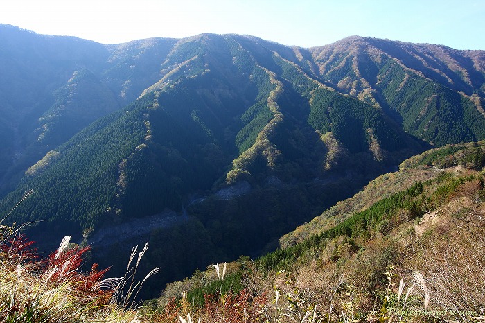 e0083238_20252264.jpg