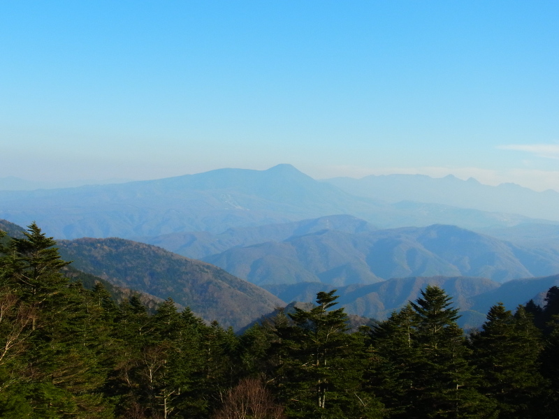 b0190242_15211478.jpg