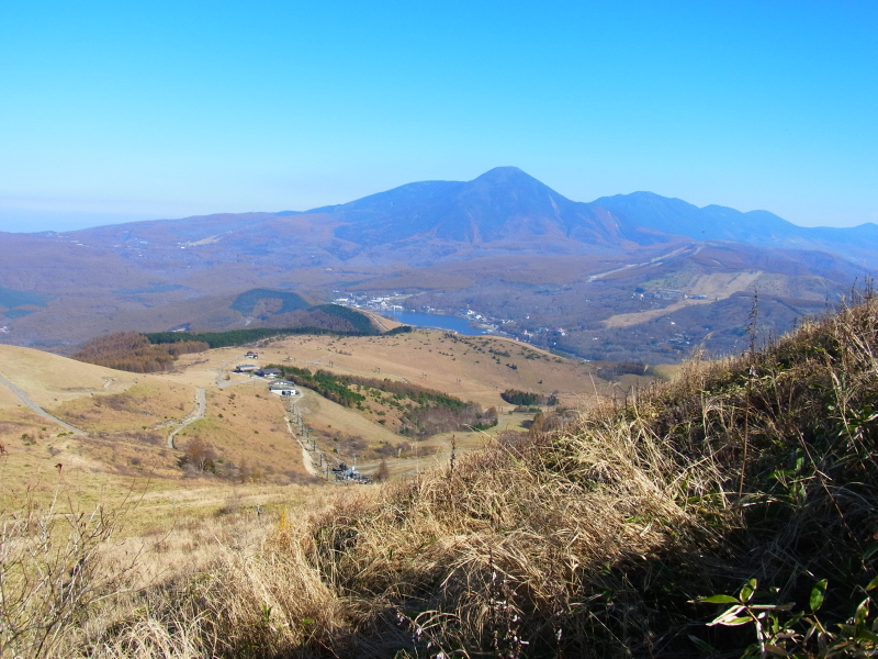 b0190242_15284895.jpg