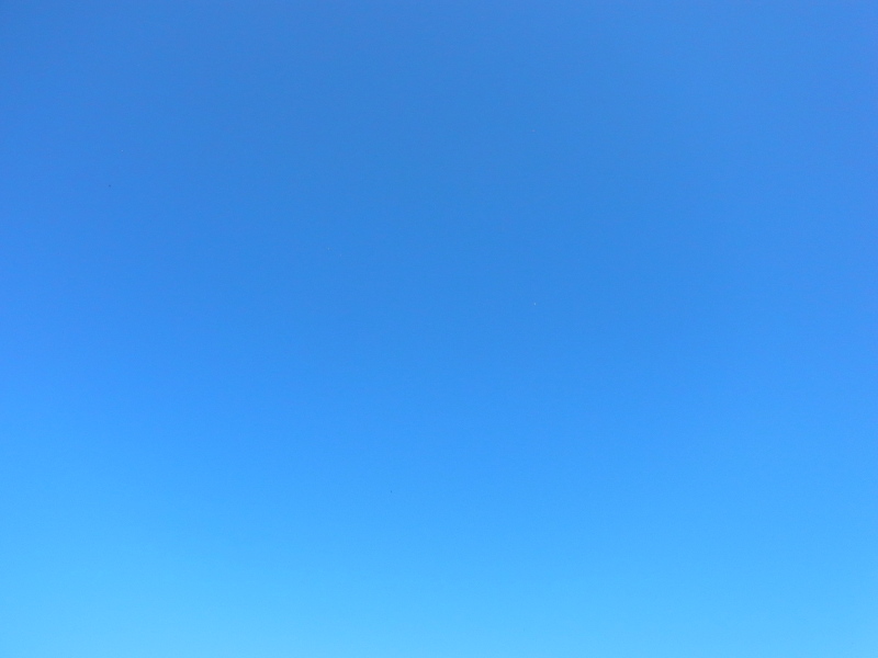 b0190242_1551840.jpg