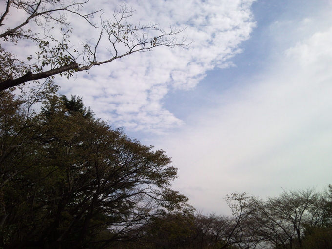 e0150843_18483244.jpg