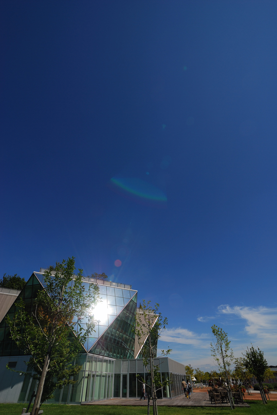c0171945_0143125.jpg