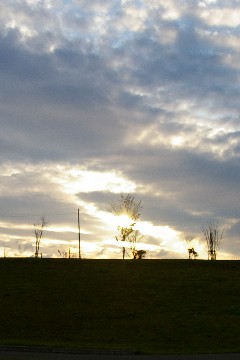 f0045846_22493745.jpg