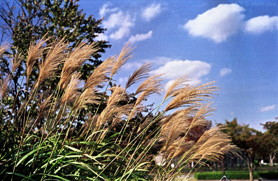 d0100156_2357334.jpg