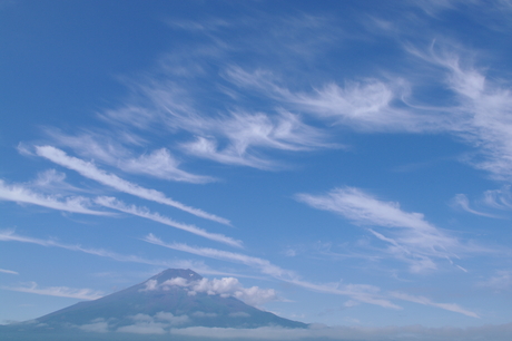 d0229560_1745597.jpg