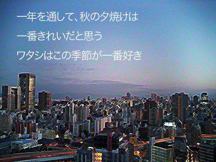 a0031761_22582378.gif