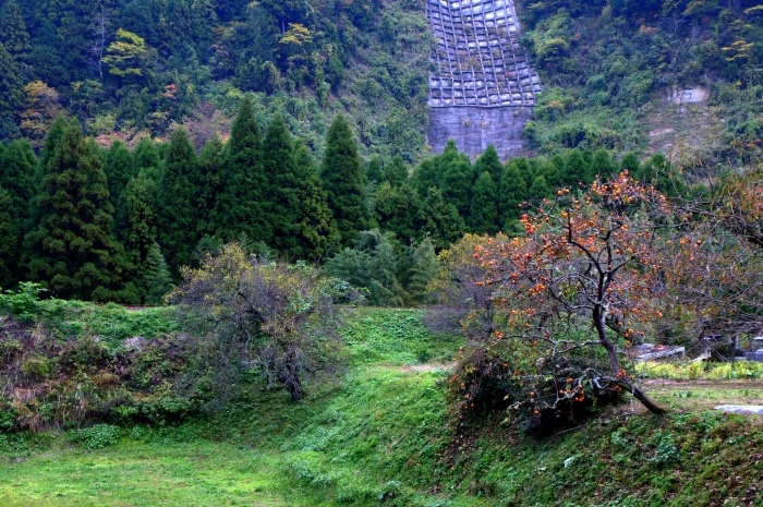 e0131161_17112775.jpg
