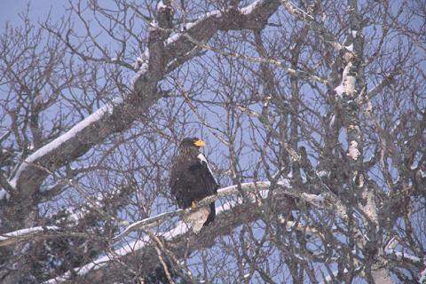 e0000968_21312010.jpg