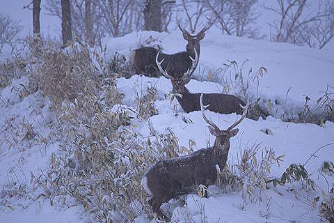 e0000968_2140169.jpg
