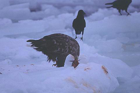 e0000968_21401832.jpg