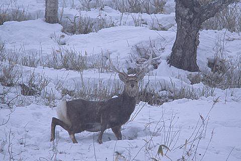 e0000968_21401889.jpg