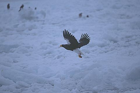e0000968_21402116.jpg