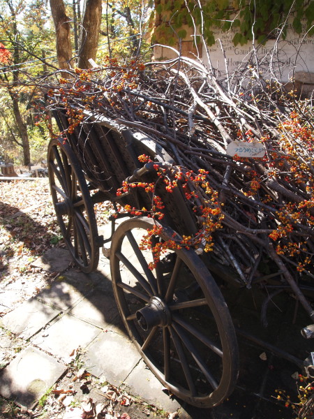 c0122670_1146425.jpg