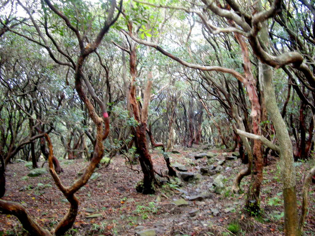 b0185573_6191251.jpg