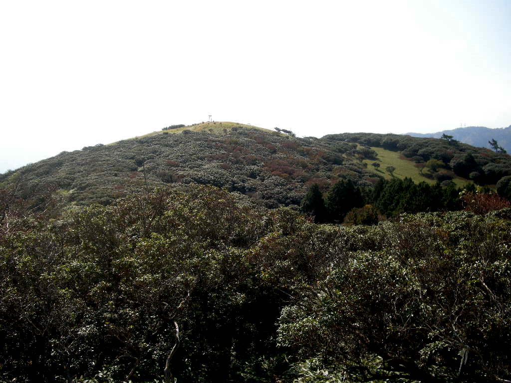 b0185573_8435121.jpg