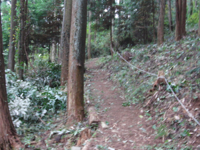 c0206177_1938672.jpg