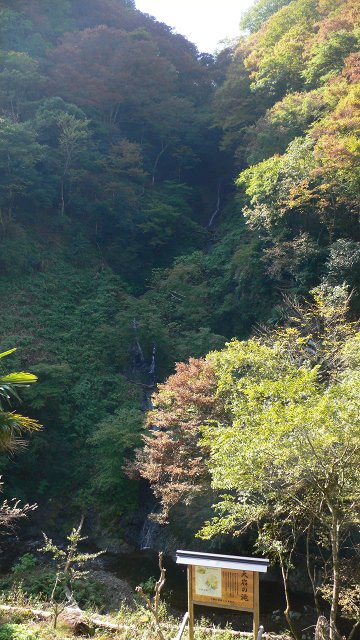 b0042882_2338406.jpg
