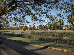 f0222387_21572041.jpg