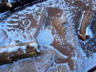 e0250594_21223642.jpg