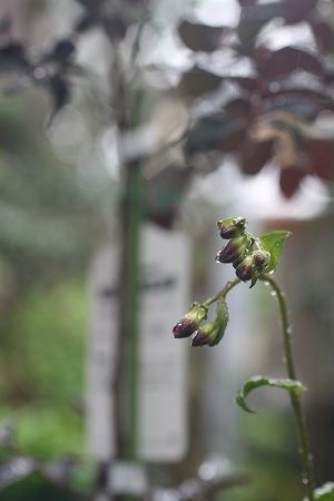 e0082098_15121393.jpg