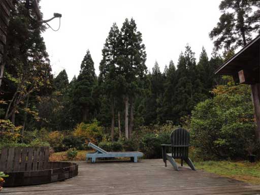a0061599_7511189.jpg
