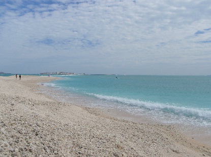e0077899_6443465.jpg