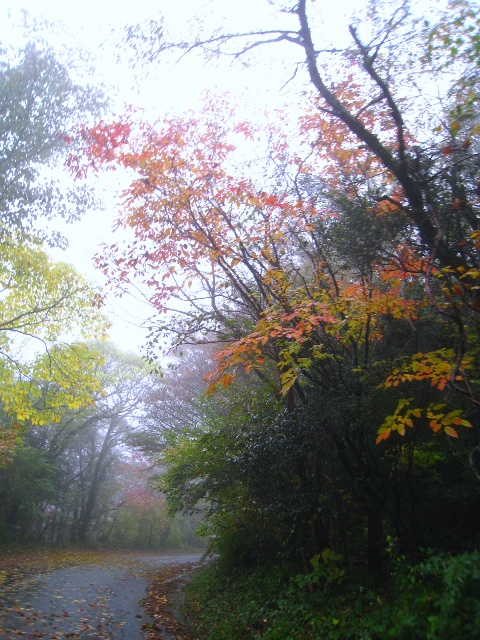 a0097006_18395135.jpg