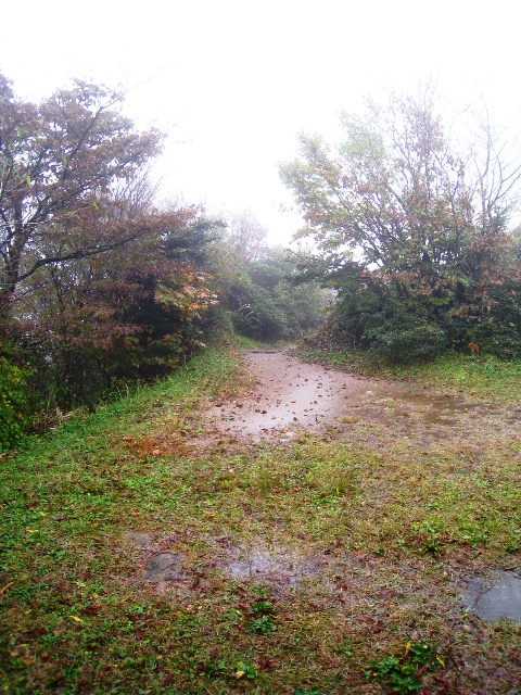 a0097006_18421357.jpg