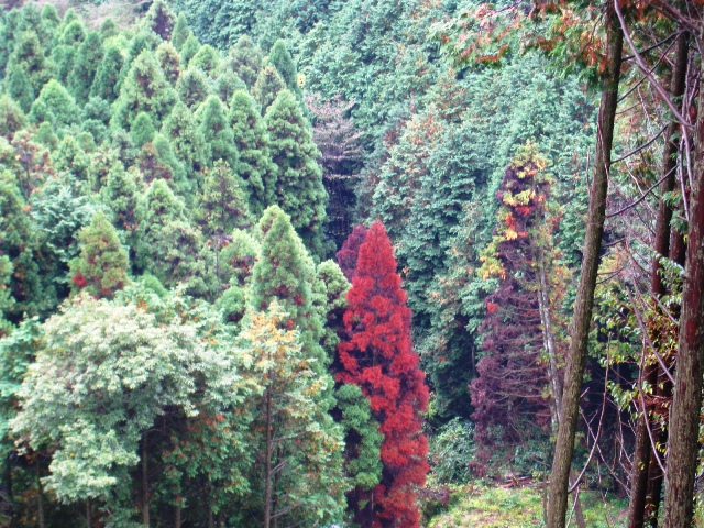 a0097006_1845553.jpg