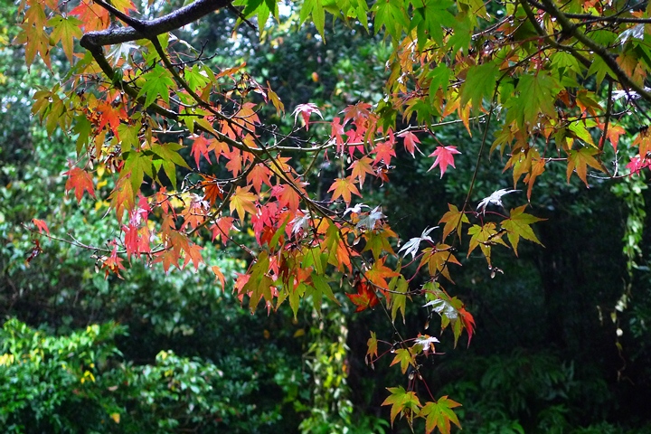 a0097006_18472965.jpg