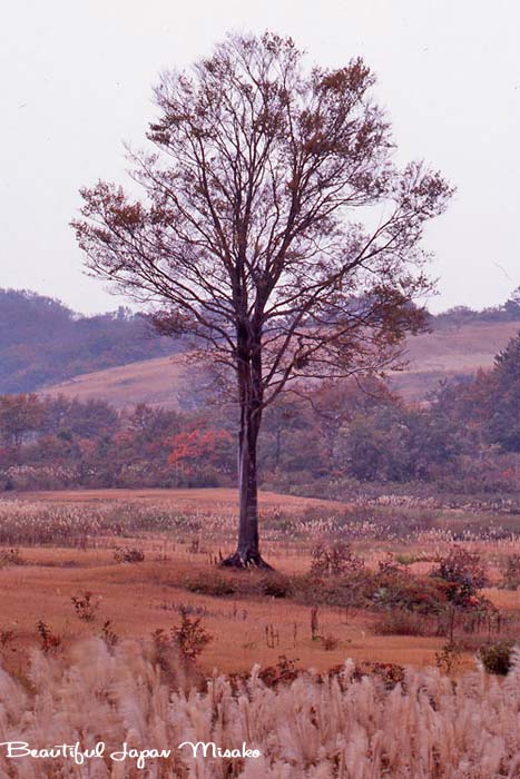 c0067206_20343862.jpg
