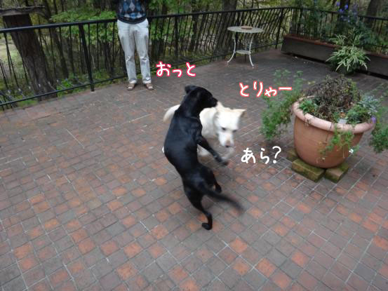 f0064906_18112755.jpg