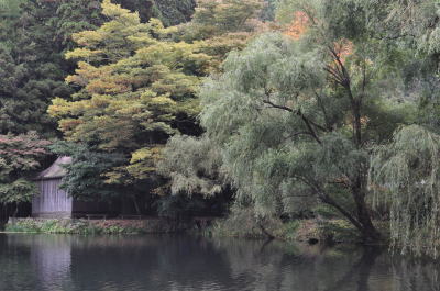 c0178009_12541960.jpg
