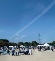 c0204609_11553494.jpg