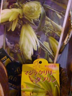 c0167112_233160.jpg