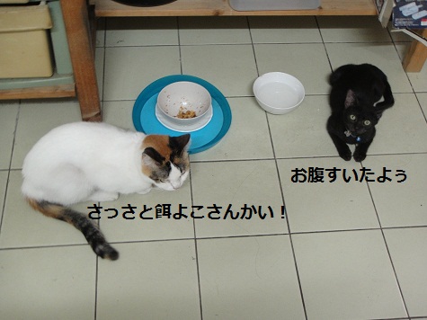 c0145615_20572961.jpg