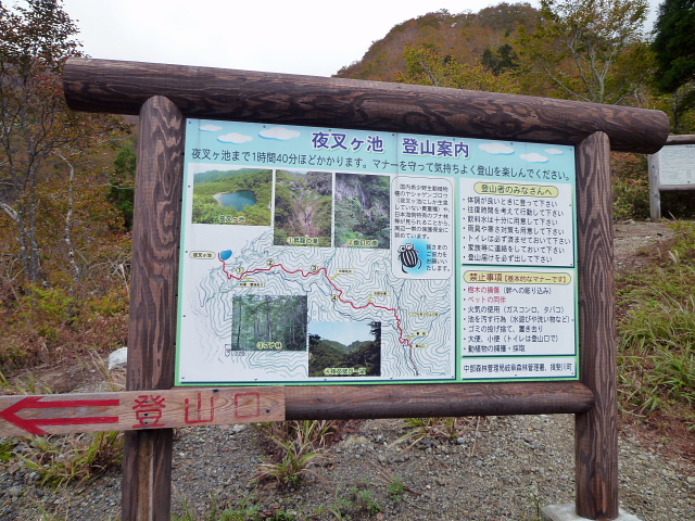d0170615_19382814.jpg