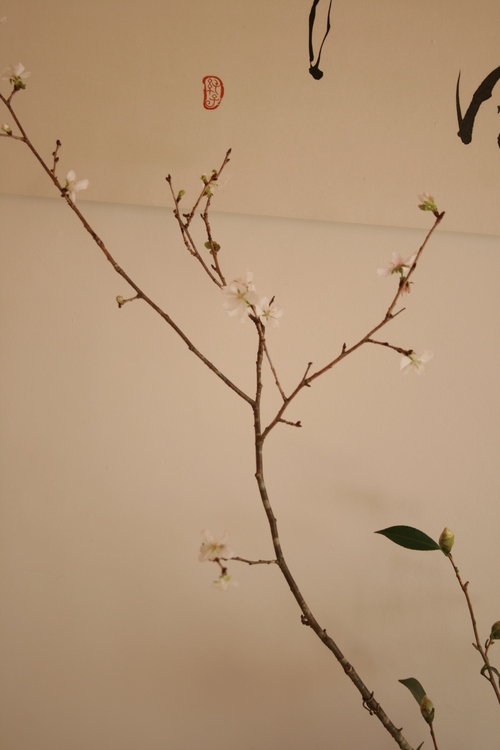 f0044715_1325238.jpg