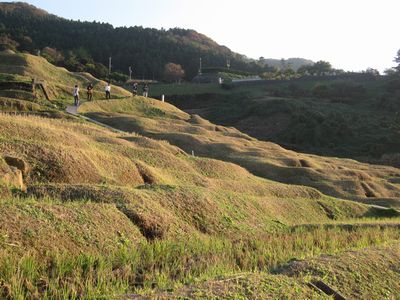 c0094218_848403.jpg