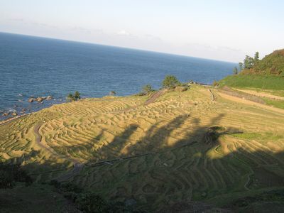 c0094218_912076.jpg