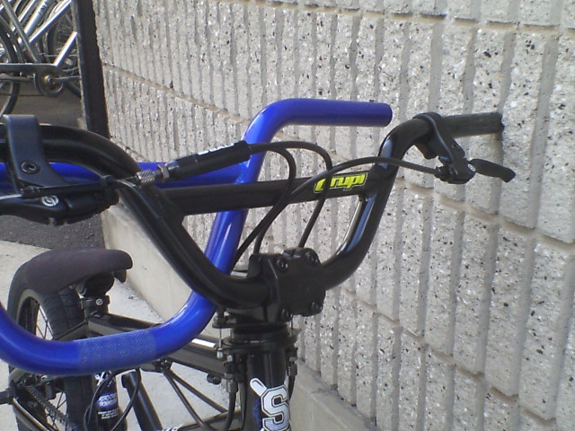 c0100318_154589.jpg