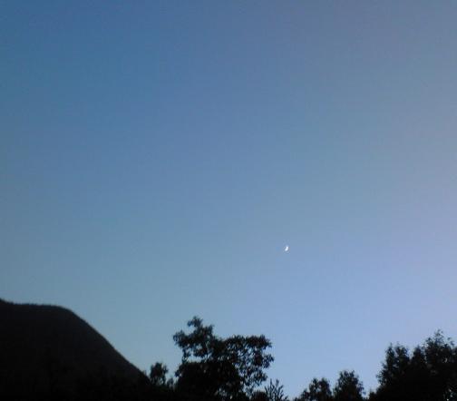 c0097620_2153467.jpg