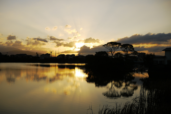 e0200926_7473185.jpg