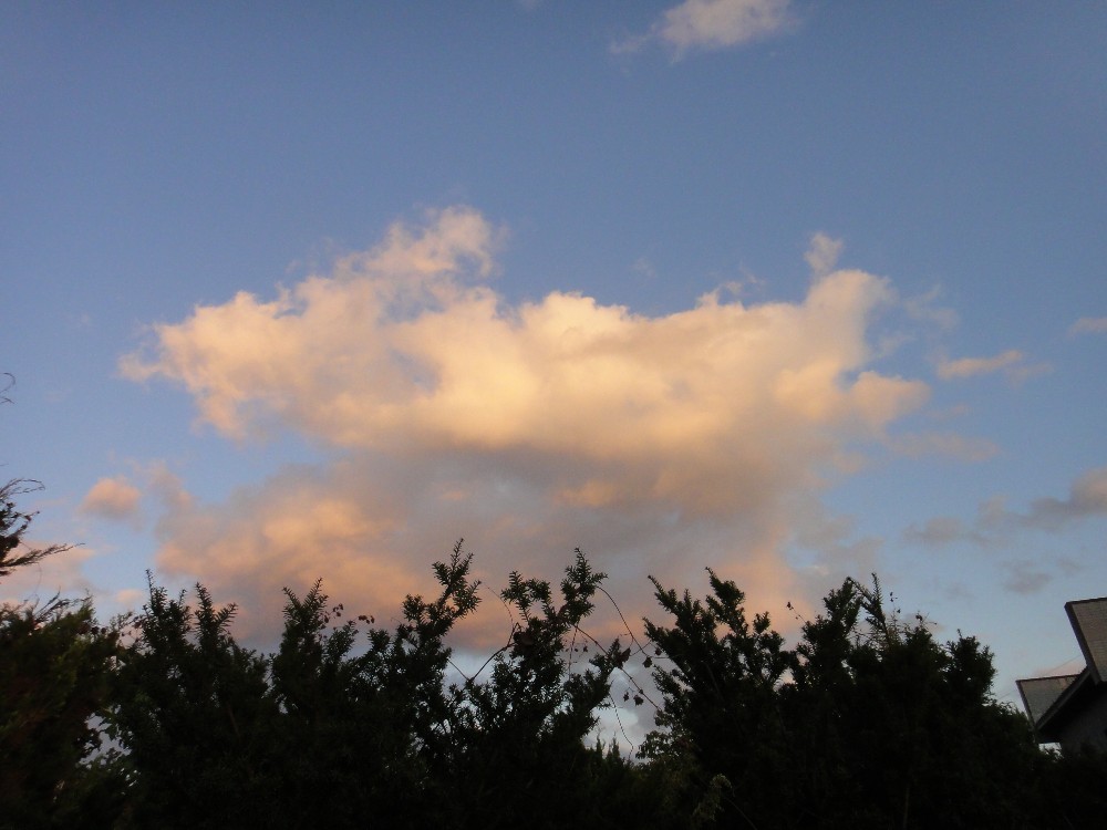 c0111229_1804446.jpg