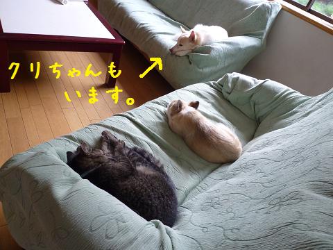b0138430_1334978.jpg