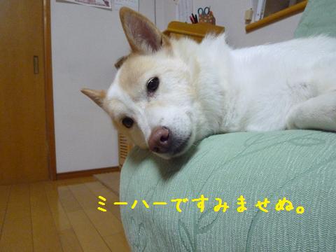 b0138430_135301.jpg