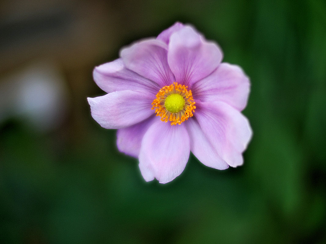 d0213034_20115595.jpg