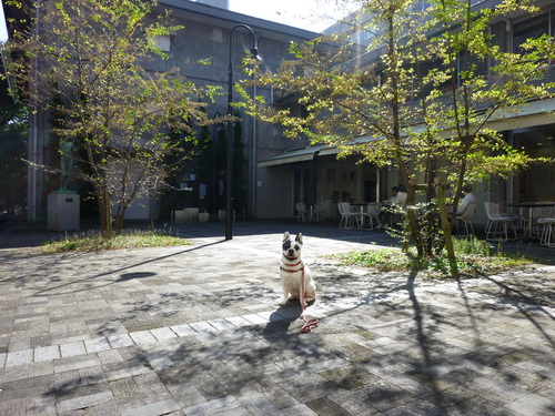 a0052736_15463896.jpg